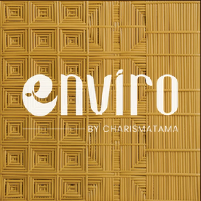 ENVIRO Pattern 13