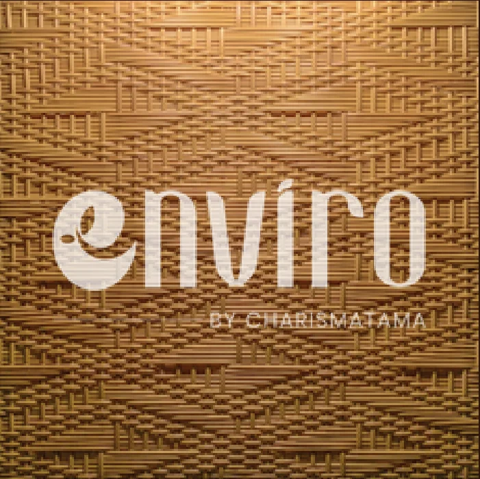 ENVIRO Pattern 21